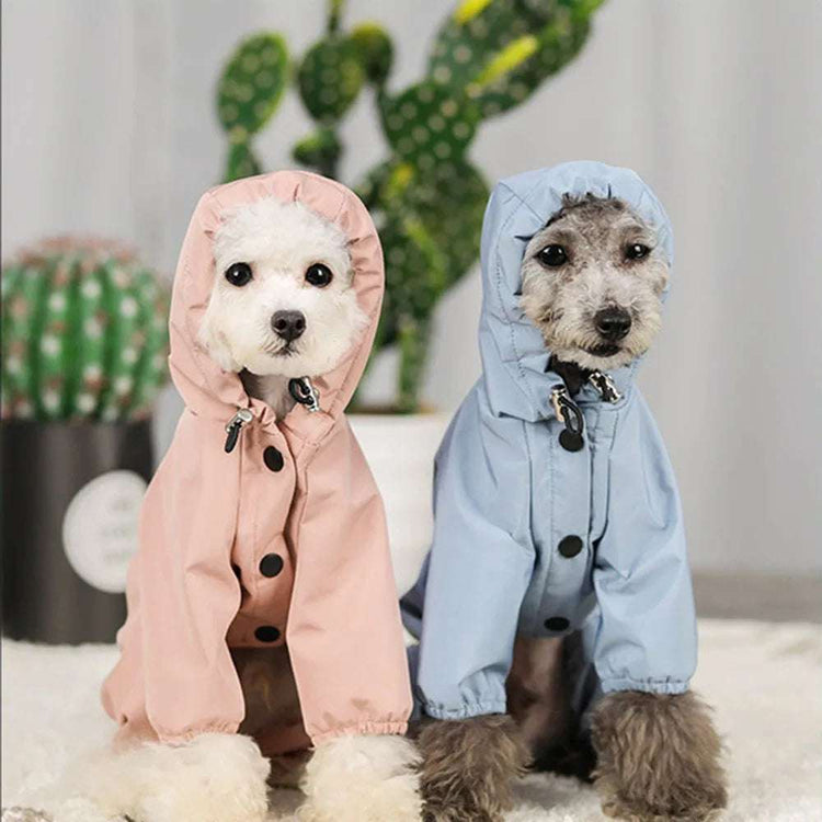 Vêtements imperméables pour chiens