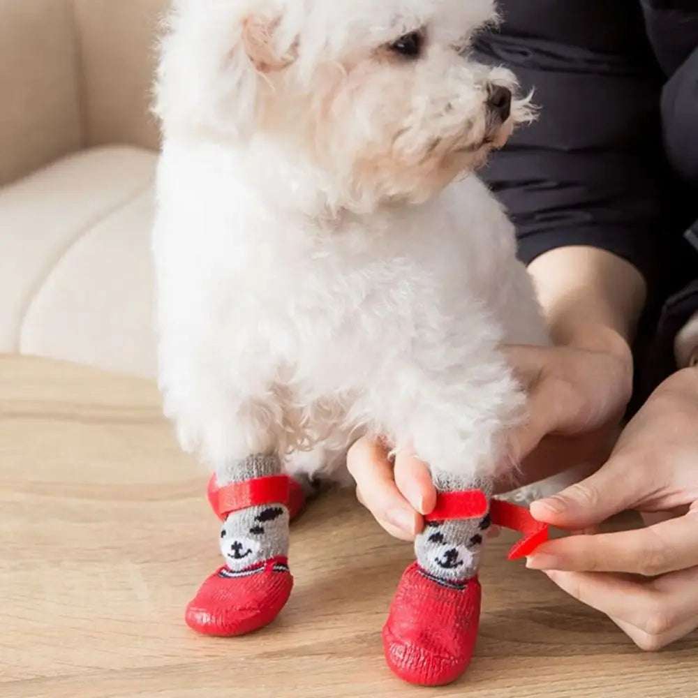 Chaussures pour chiens