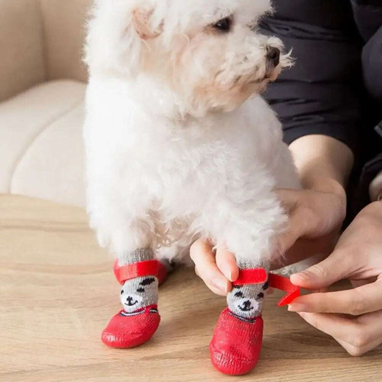 Chaussures pour chiens