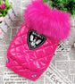 Dog Coat – Comfort and Style for Every Season