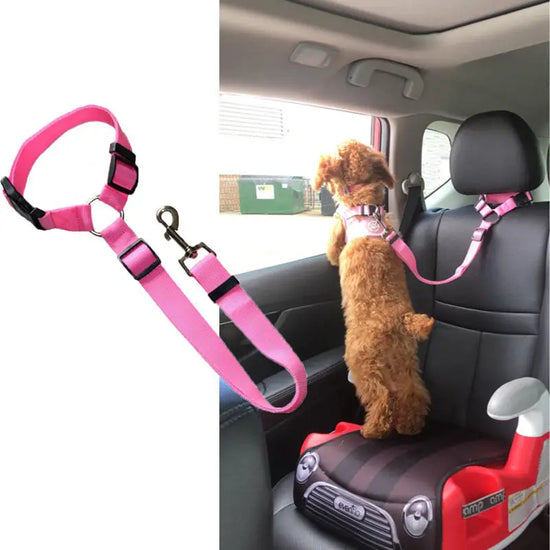 Adjustable Dog Collar Harness by Modishmik – Safety and Comfort for Your Furry Friend