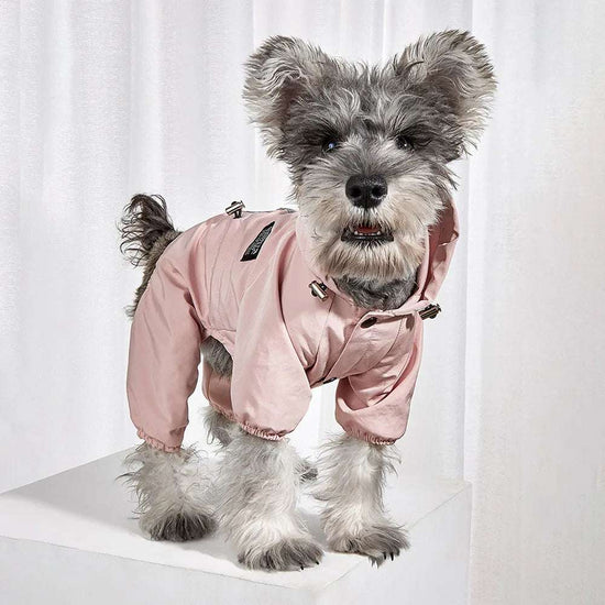 Vêtements imperméables pour chiens
