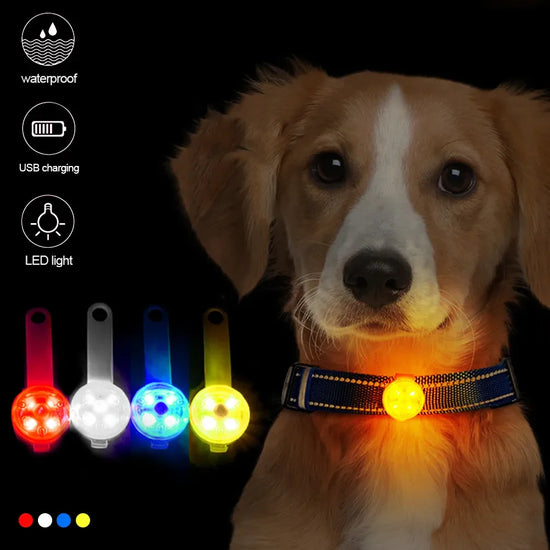 Waterproof Dog Collar with Flashing LED Anti-Lost Pendant
