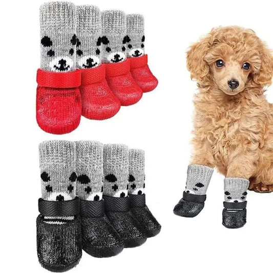 Chaussures pour chiens
