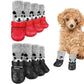 Chaussures pour chiens