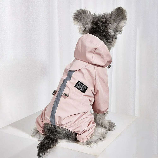 Vêtements imperméables pour chiens
