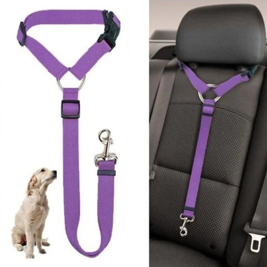 Adjustable Dog Collar Harness by Modishmik – Safety and Comfort for Your Furry Friend